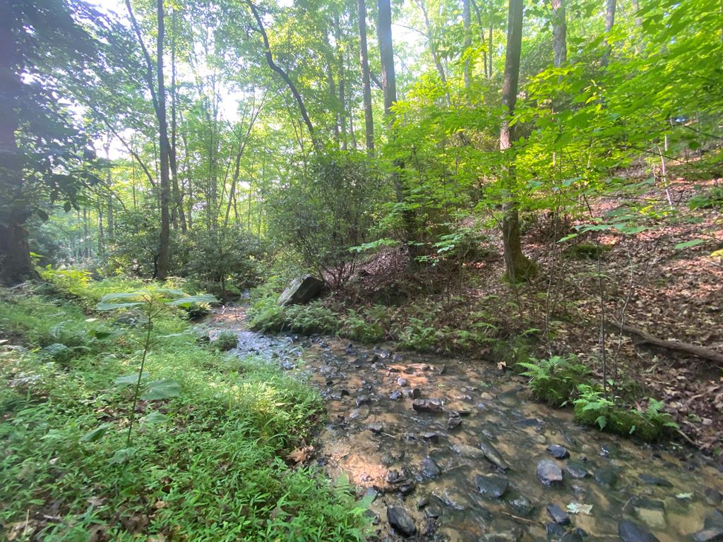 23 Surrey Trail Property Photo 1