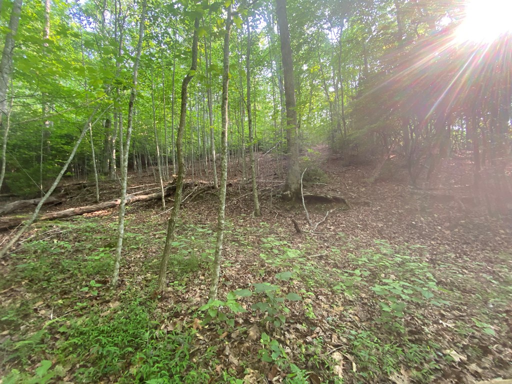 23 Surrey Trail Property Photo 2