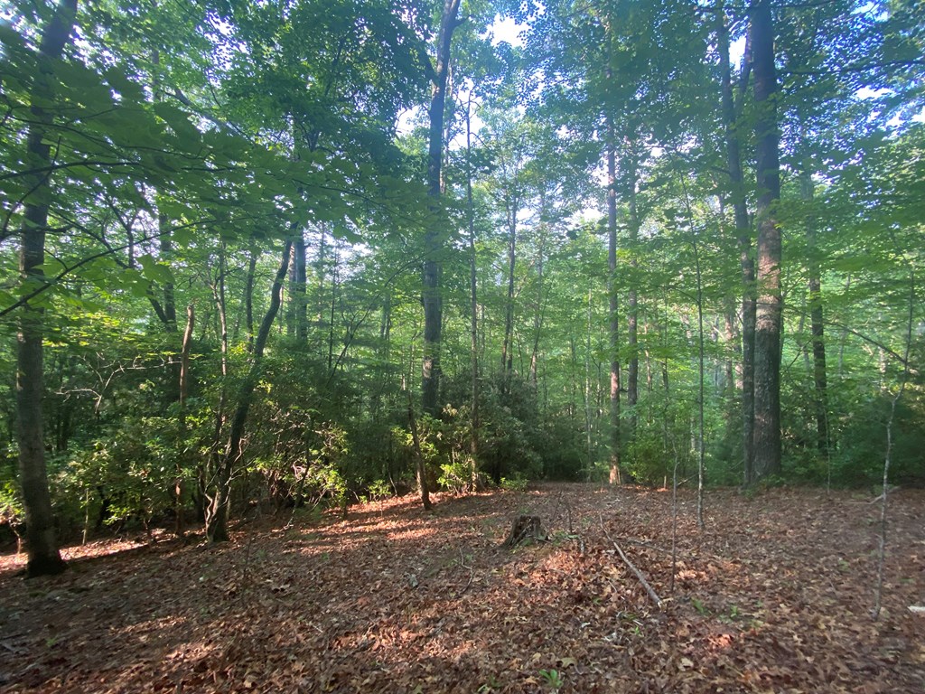 23 Surrey Trail Property Photo 6