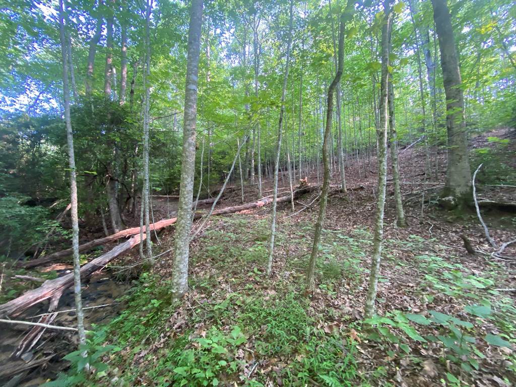 23 Surrey Trail Property Photo 9