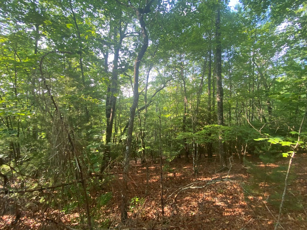 23 Surrey Trail Property Photo 10