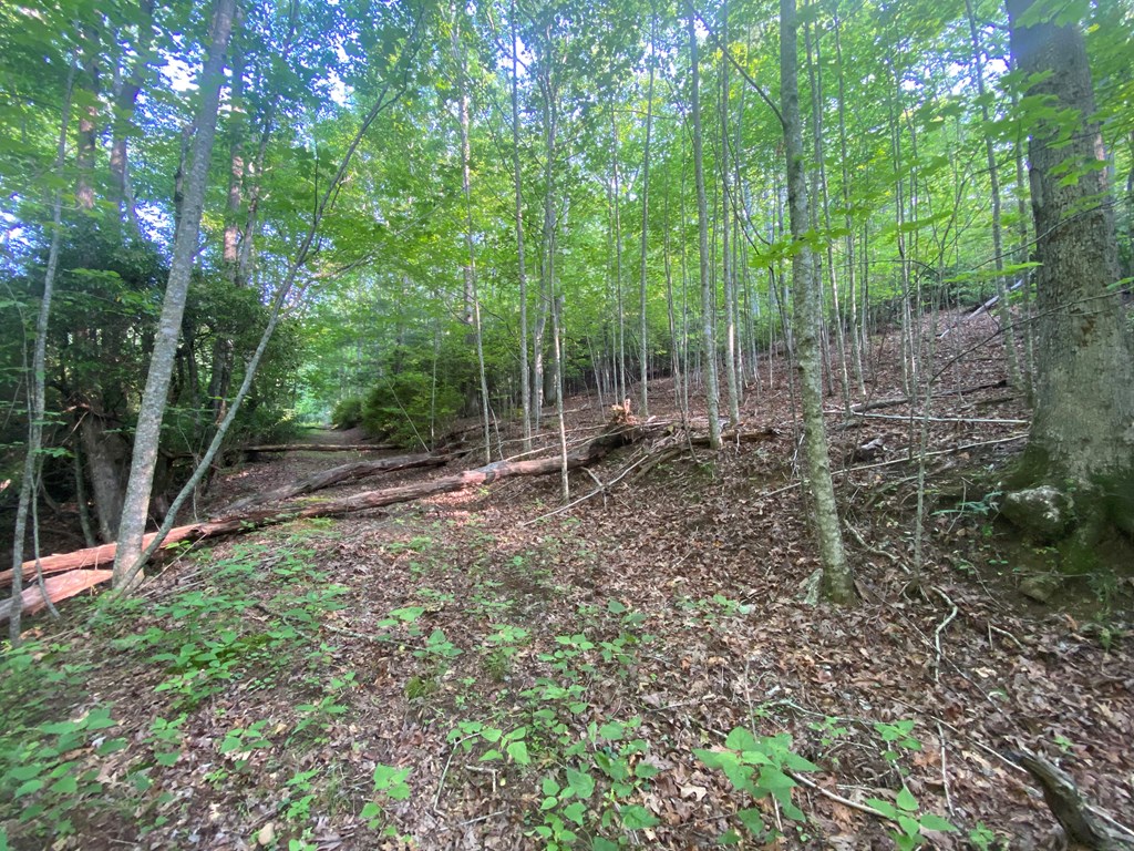 23 Surrey Trail Property Photo 12