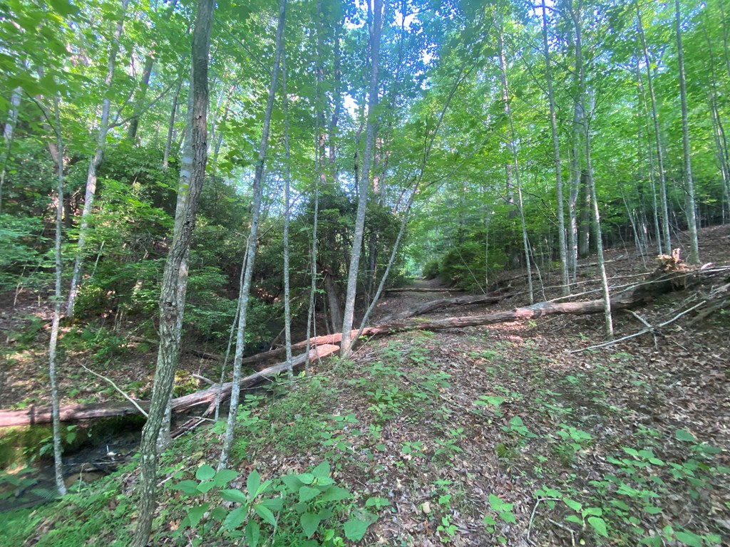 23 Surrey Trail Property Photo 13