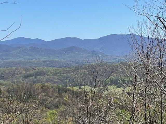 Lot 11 Longview Drive Property Photo 3