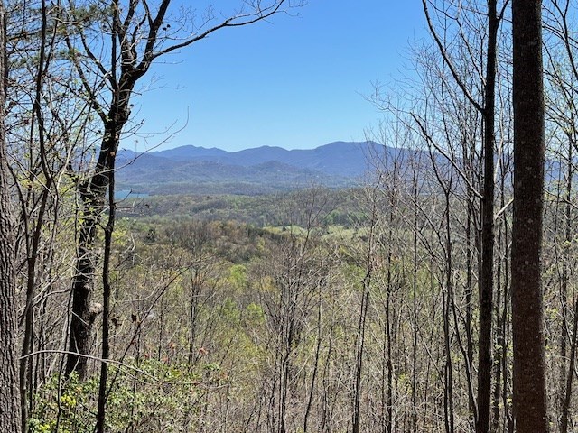 Lot 11 Longview Drive Property Photo 4