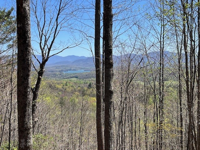 Lot 11 Longview Drive Property Photo 5