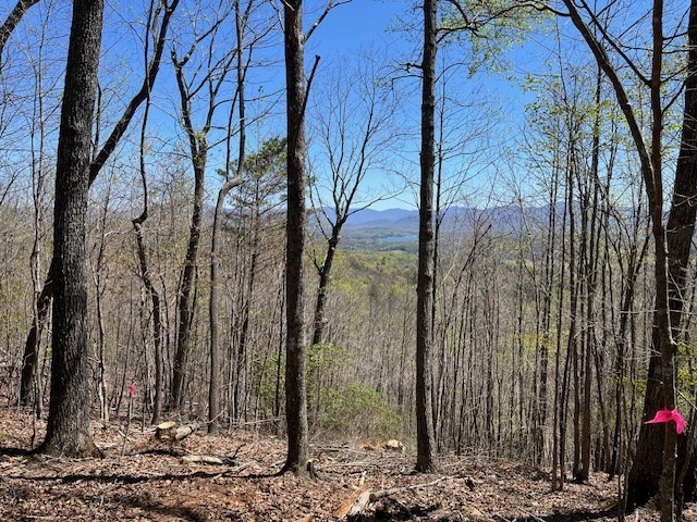 Lot 11 Longview Drive Property Photo 9