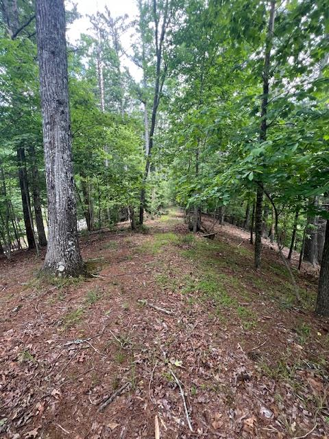 Lot 20 Moonshine Mountain Road Property Photo 1