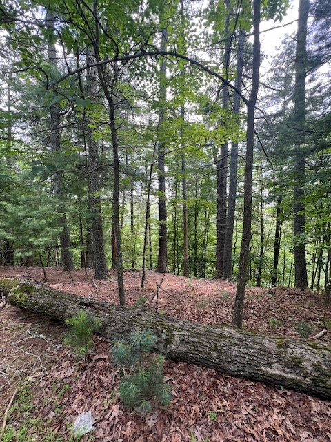 Lot 20 Moonshine Mountain Road Property Photo 2