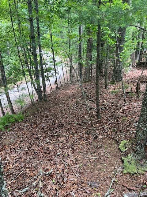 Lot 20 Moonshine Mountain Road Property Photo 8