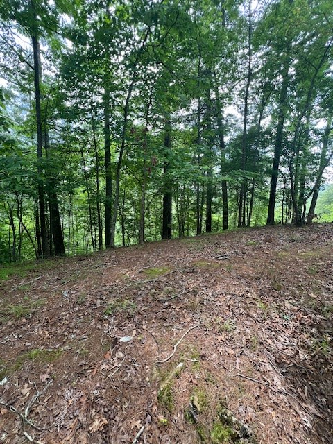 Lot 20 Moonshine Mountain Road Property Photo 9