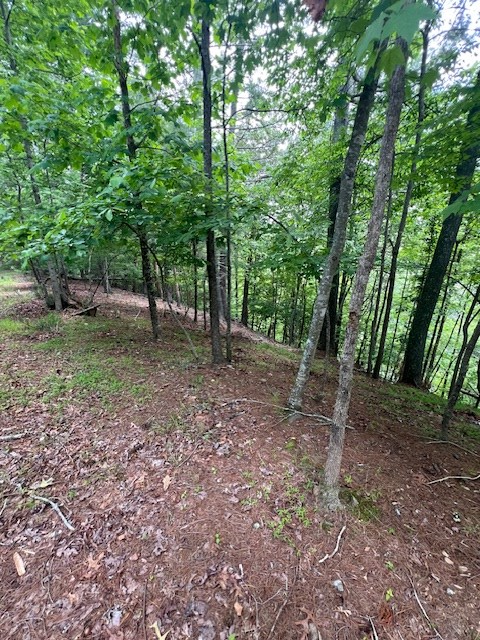 Lot 20 Moonshine Mountain Road Property Photo 10