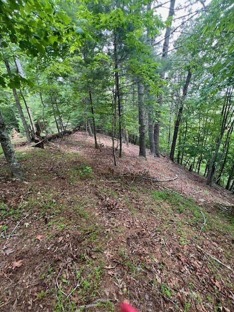 Lot 20 Moonshine Mountain Road Property Photo 11