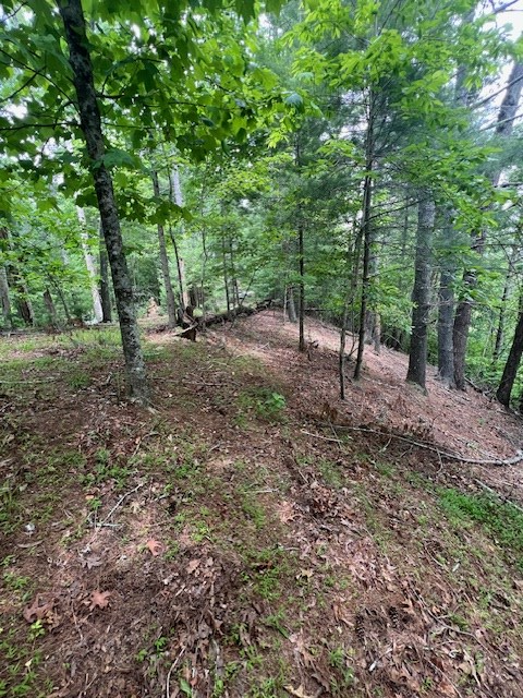 Lot 20 Moonshine Mountain Road Property Photo 12