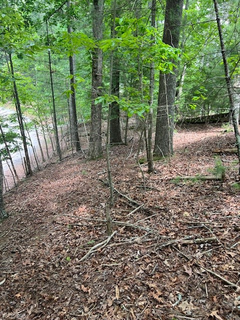 Lot 20 Moonshine Mountain Road Property Photo 14