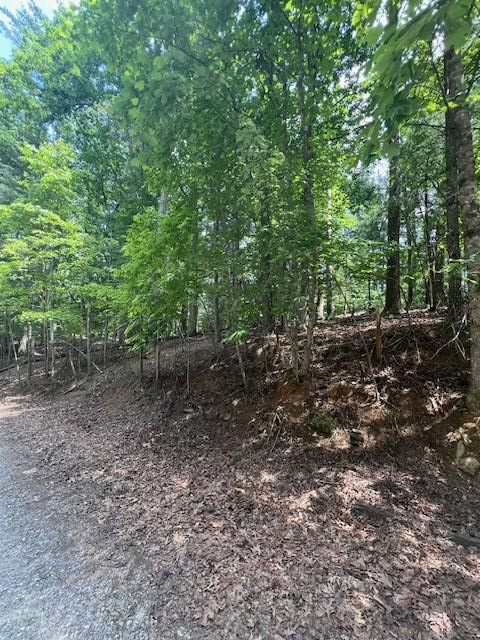 Lot 20 Moonshine Mountain Road Property Photo 15