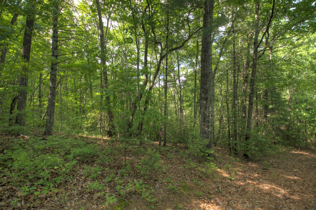 0 Menagerie Ridge Property Photo 2