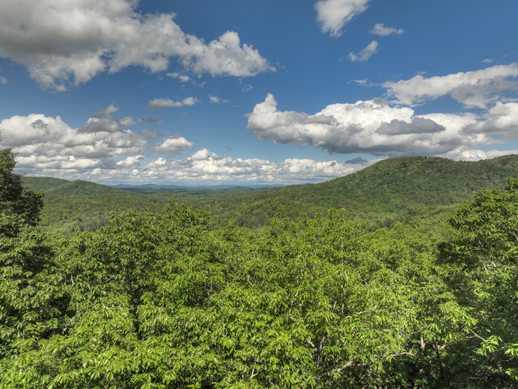 0 Menagerie Ridge Property Photo 3