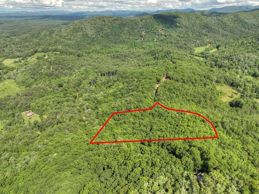 0 Menagerie Ridge Property Photo 4
