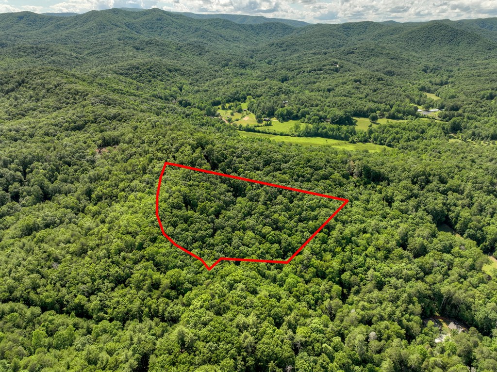 0 Menagerie Ridge Property Photo 5