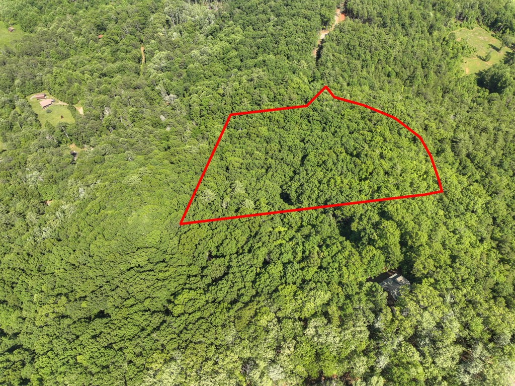 0 Menagerie Ridge Property Photo 6