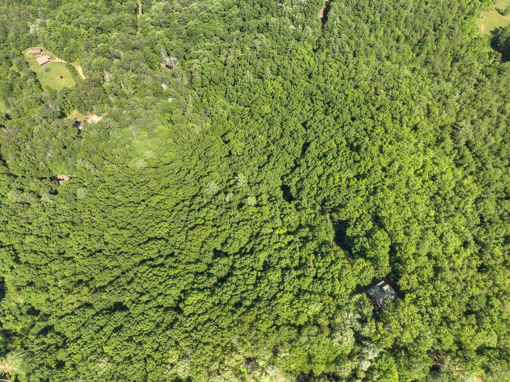 0 Menagerie Ridge Property Photo 8