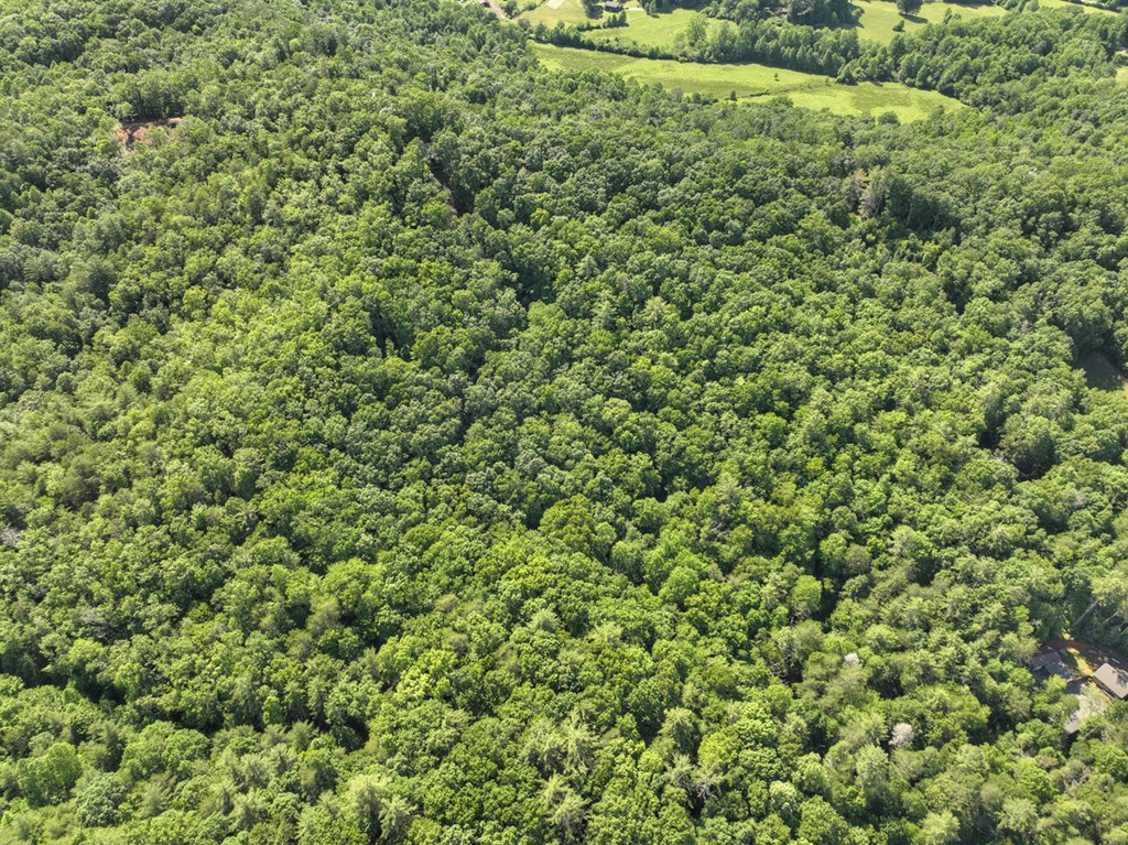 0 Menagerie Ridge Property Photo 9