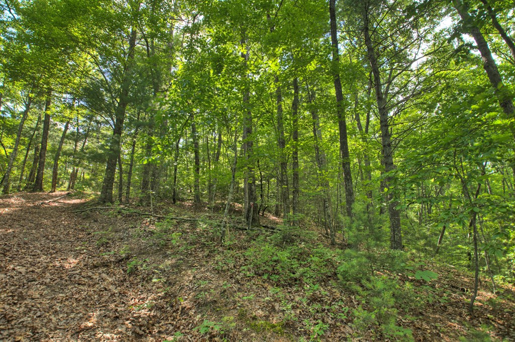 0 Menagerie Ridge Property Photo 12