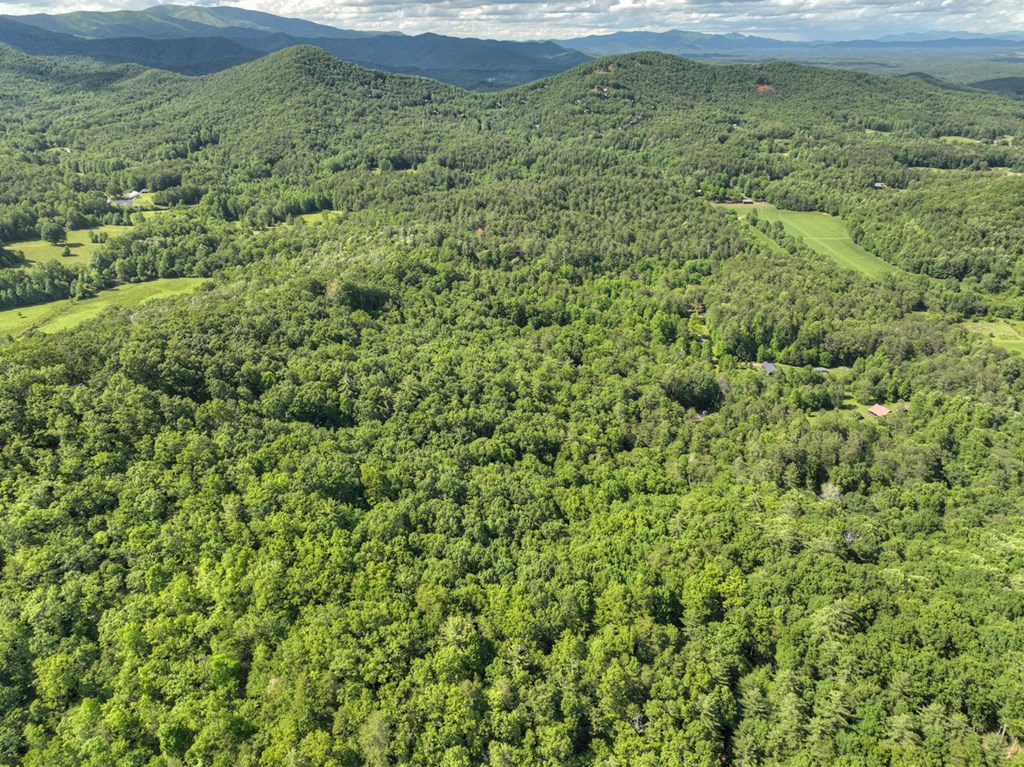 0 Menagerie Ridge Property Photo 13