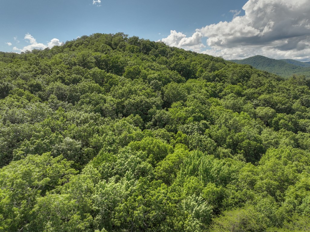 0 Menagerie Ridge Property Photo 15