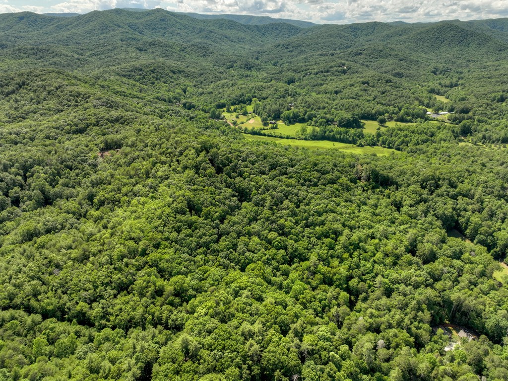 0 Menagerie Ridge Property Photo 17