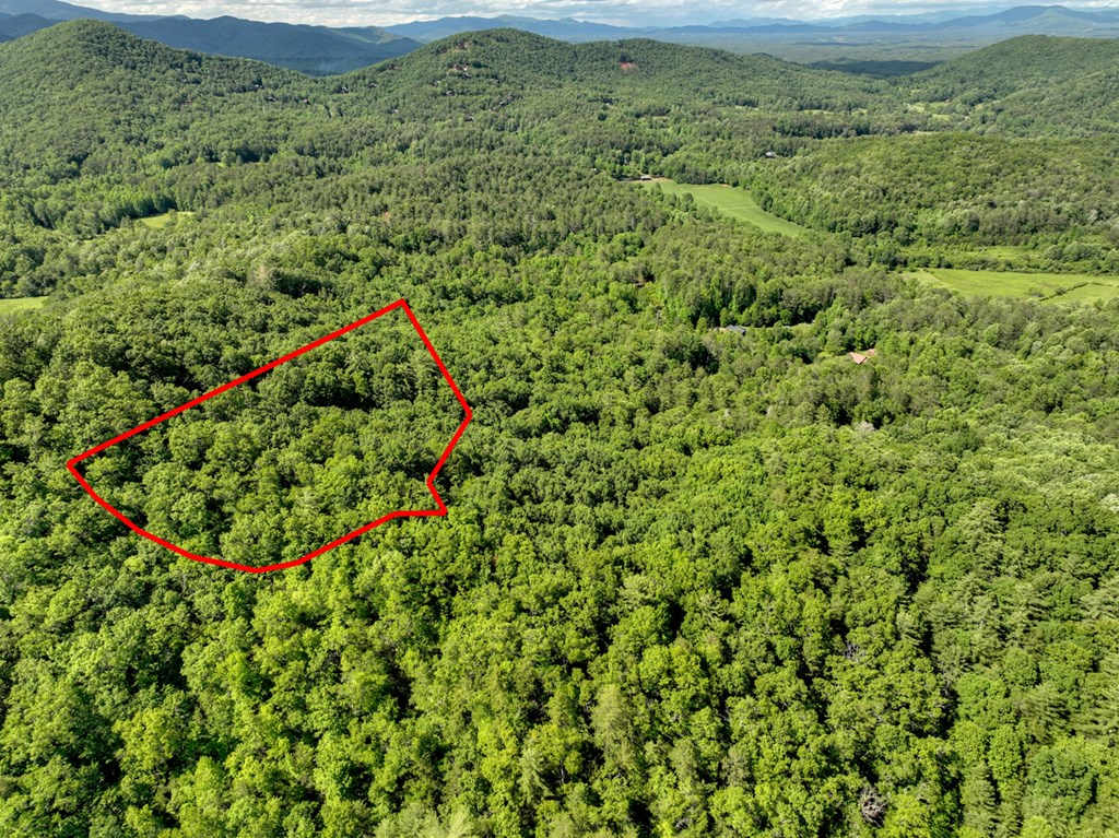 0 Menagerie Ridge Property Photo 20