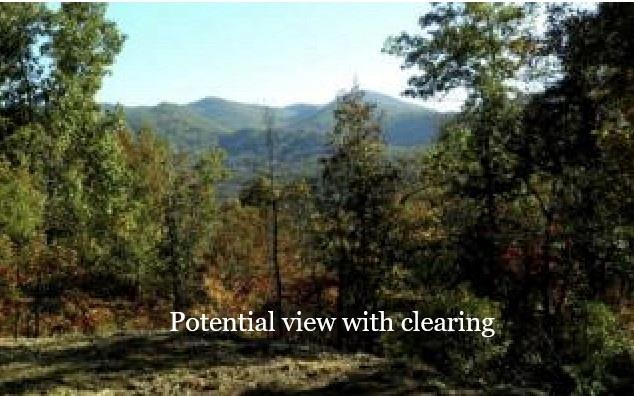 #9 Pounding Mill Overlook Property Photo 1