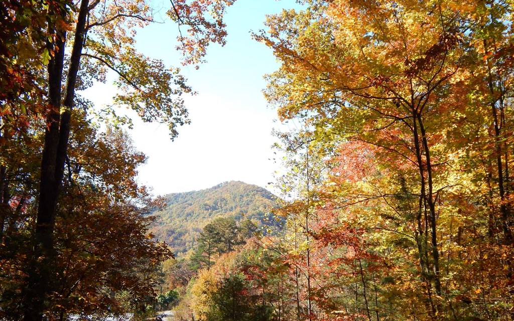 #9 Pounding Mill Overlook Property Photo 2