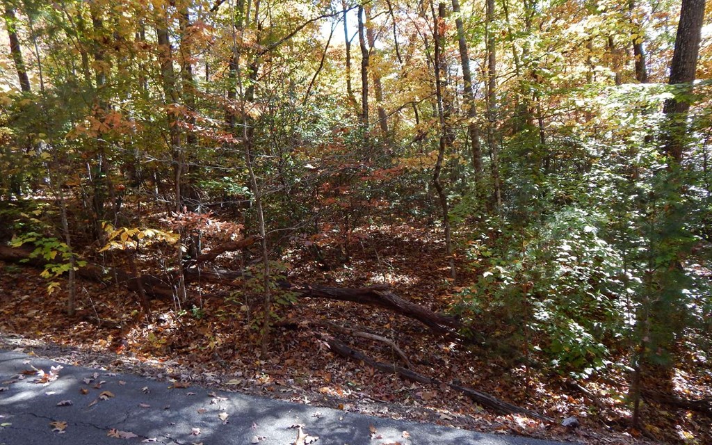 #9 Pounding Mill Overlook Property Photo 3