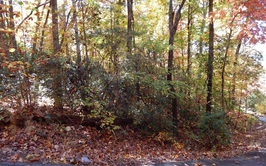 #9 Pounding Mill Overlook Property Photo 4