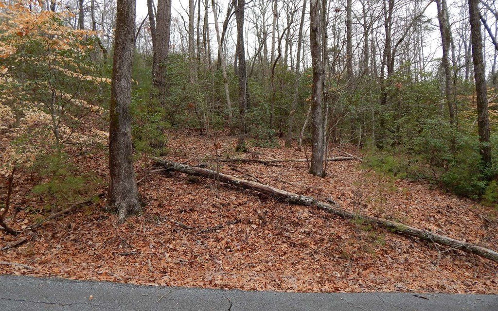 #9 Pounding Mill Overlook Property Photo 6