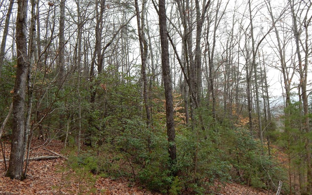 #9 Pounding Mill Overlook Property Photo 7