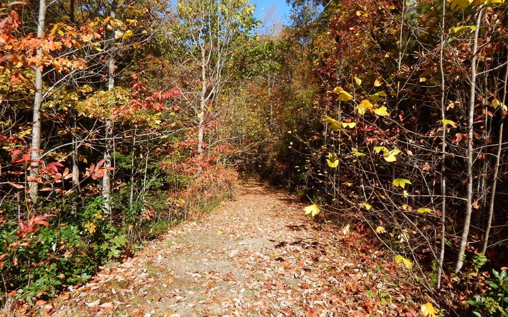 #9 Pounding Mill Overlook Property Photo 9