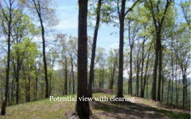 #9 Pounding Mill Overlook Property Photo 10