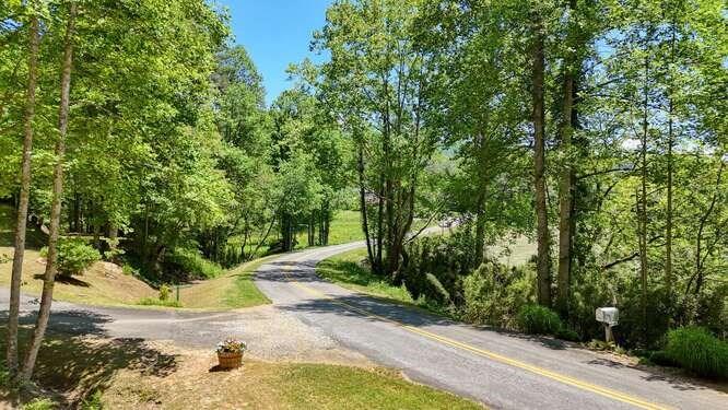 Tract 2 Fain Branch Road Property Photo 1