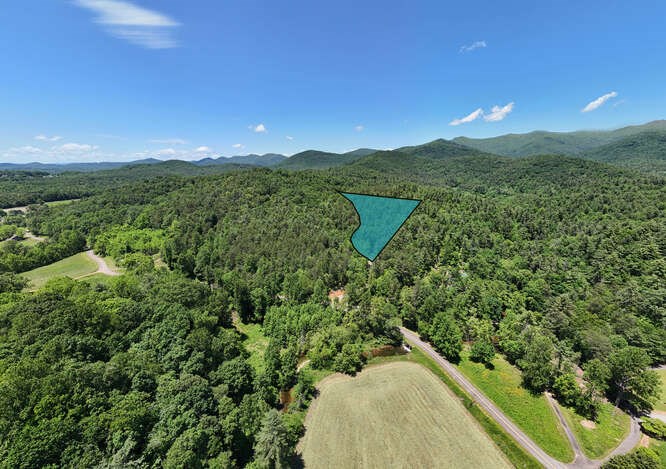 Tract 3 Fain Branch Road Property Photo 10