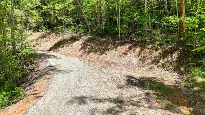 Tract 3 Fain Branch Road Property Photo 16