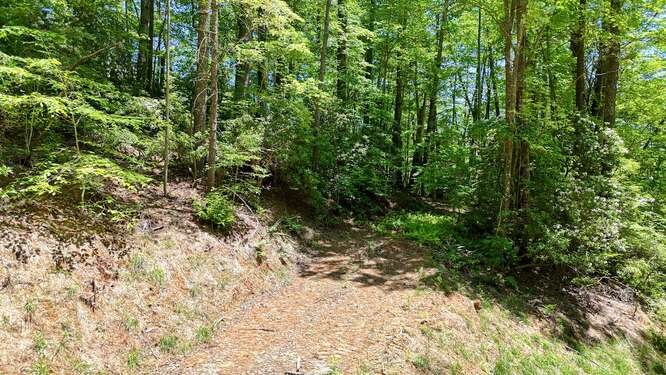Tract 3 Fain Branch Road Property Photo 18