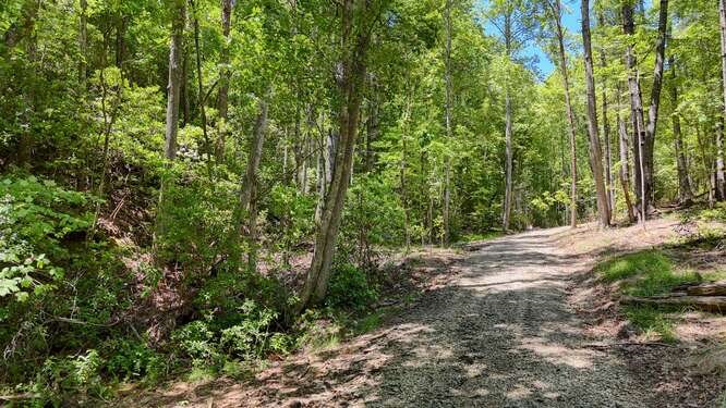 Tract 3 Fain Branch Road Property Photo 20