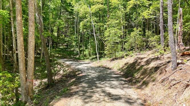 Tract 3 Fain Branch Road Property Photo 22