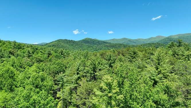 Tract 3 Fain Branch Road Property Photo 25