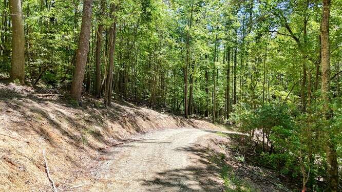 Tract 4 Fain Branch Road Property Photo 5