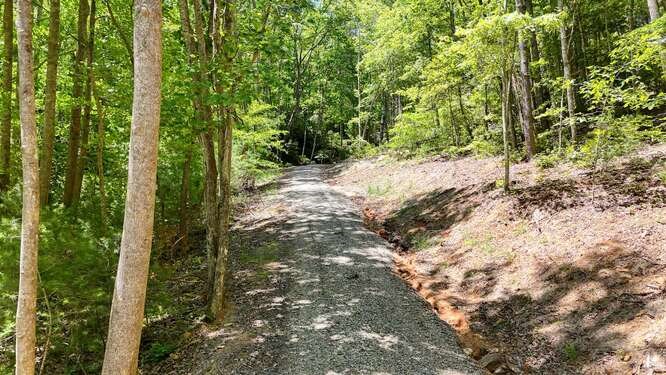 Tract 4 Fain Branch Road Property Photo 6