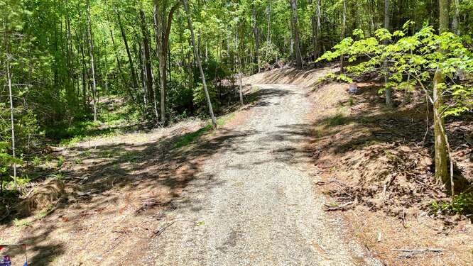 Tract 4 Fain Branch Road Property Photo 7